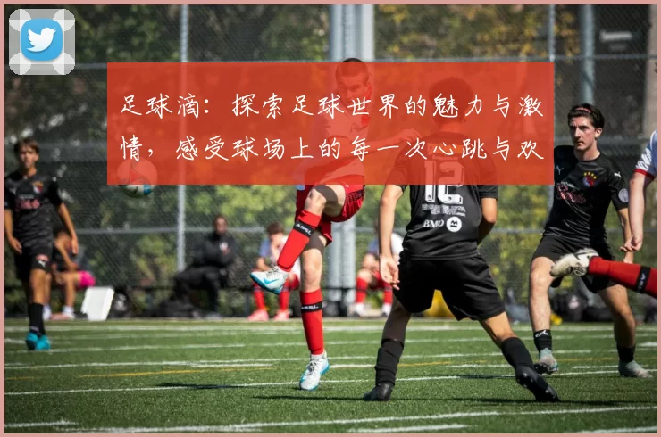 足球滴：探索足球世界的魅力与激情，感受球场上的每一次心跳与欢呼