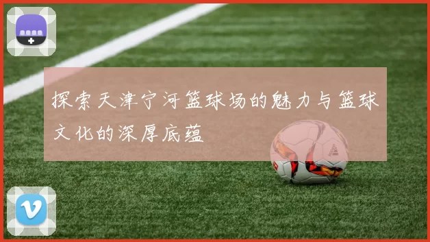 探索天津宁河篮球场的魅力与篮球文化的深厚底蕴